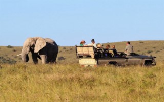 Lalibela Game Reserve [320x200]